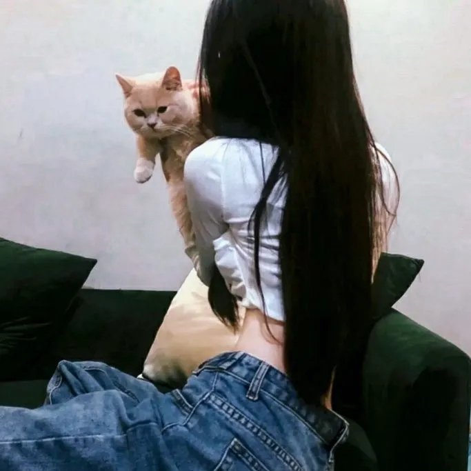 风云粤语